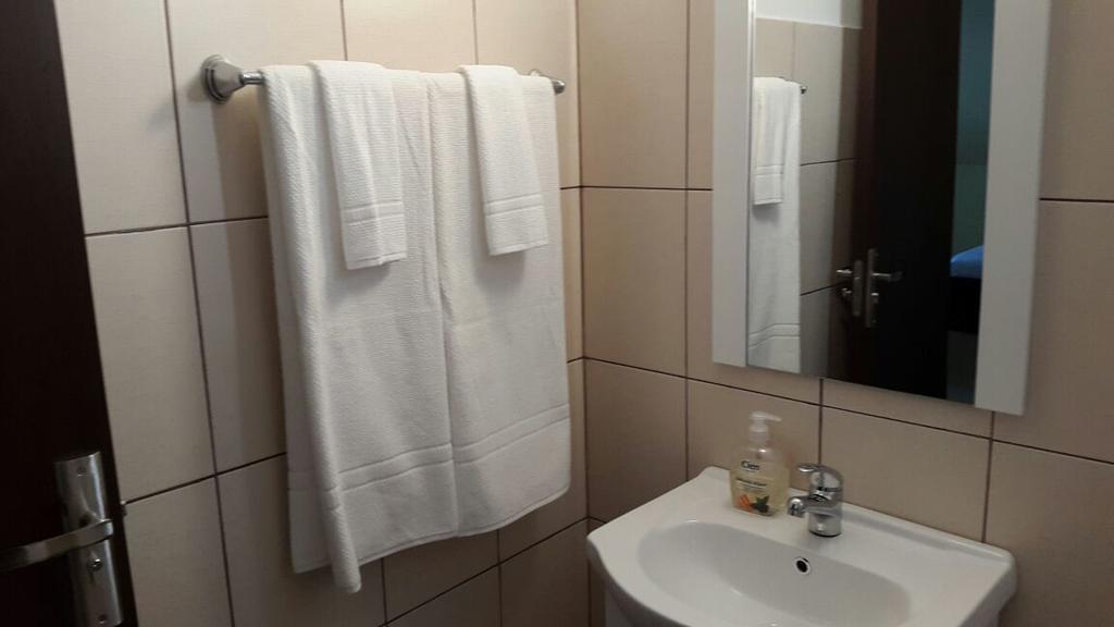 Pensiunea Family Zone Rosiori de Vede Экстерьер фото