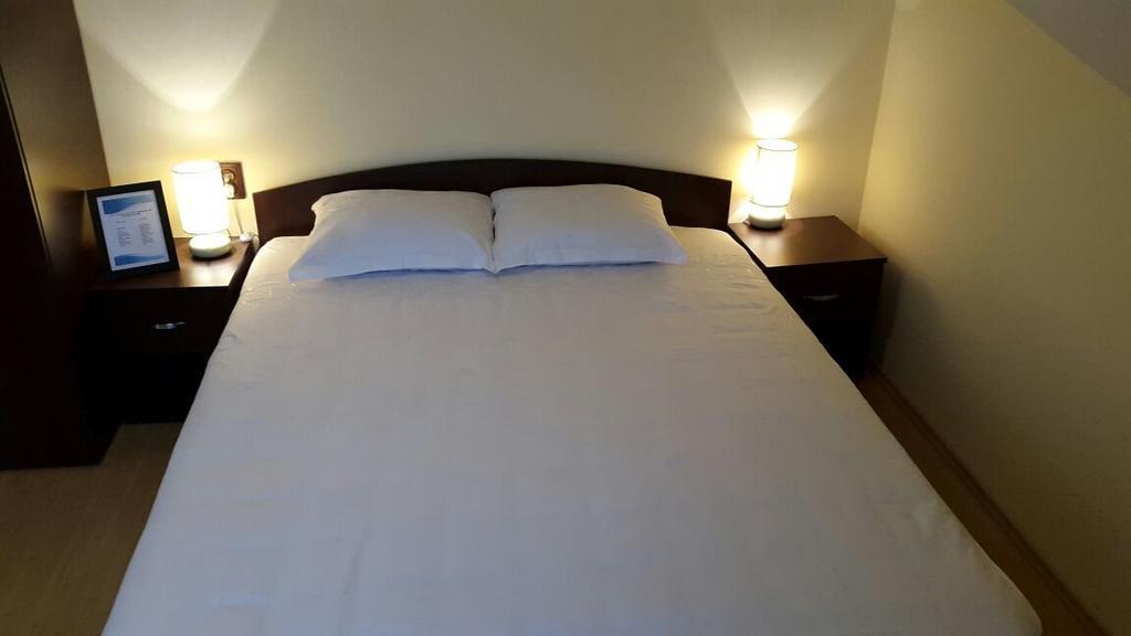 Pensiunea Family Zone Rosiori de Vede Экстерьер фото